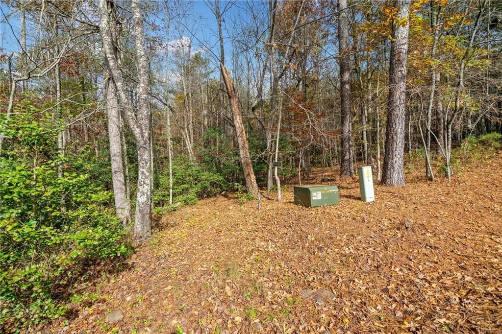 unimproved land for sale at LT 7 Highpoint Ridge Road, Ellijay, GA 30536 — photo 9