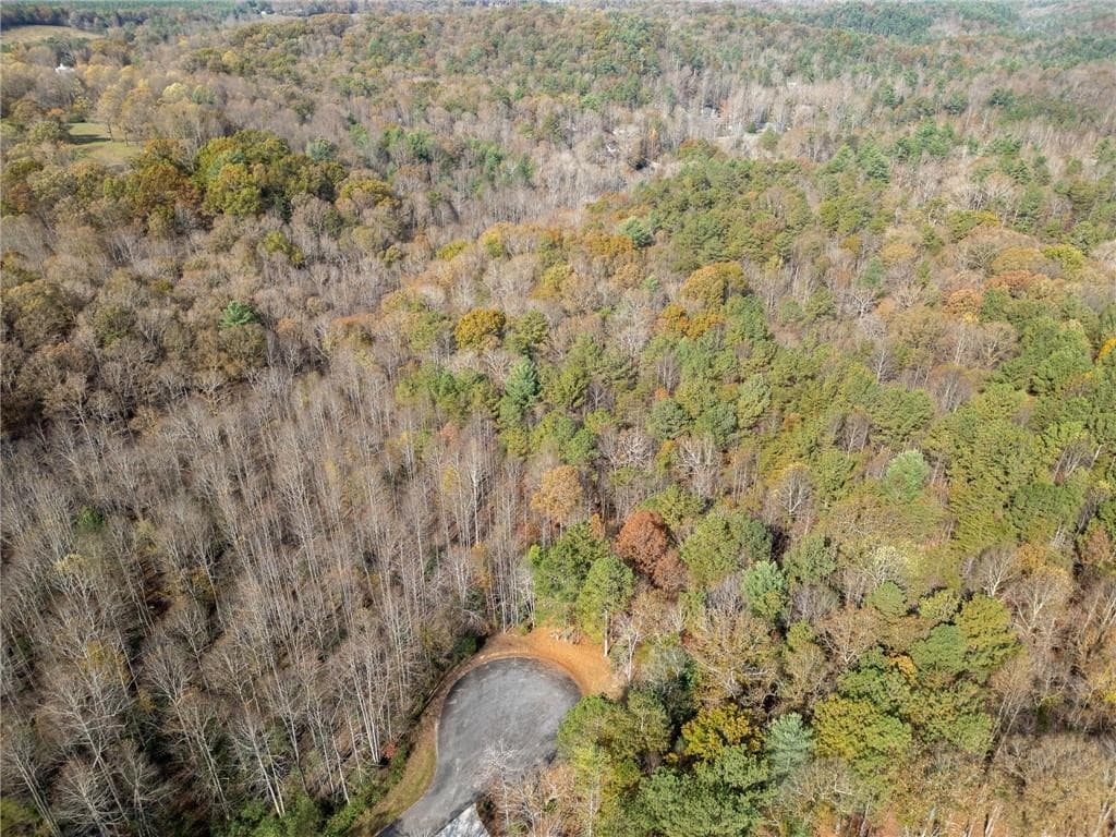 unimproved land for sale at LT 7 Highpoint Ridge Road, Ellijay, GA 30536 — photo 10