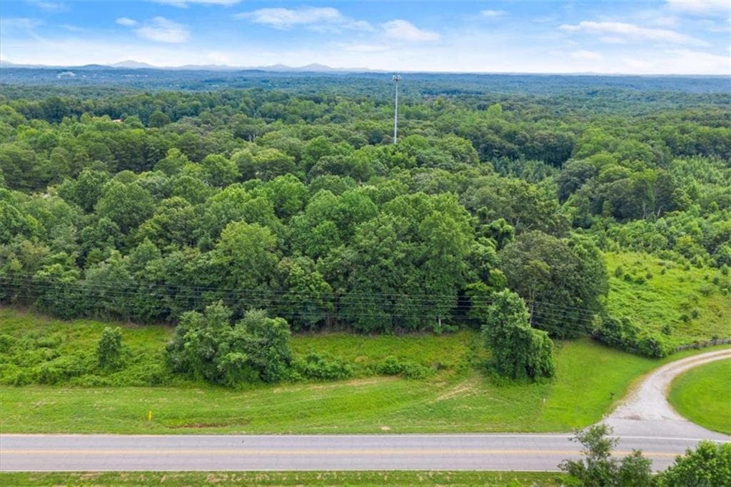 unimproved land for sale at 00 Dawsonville Hwy Tract 2A, Dawsonville, GA 30534 — photo 3