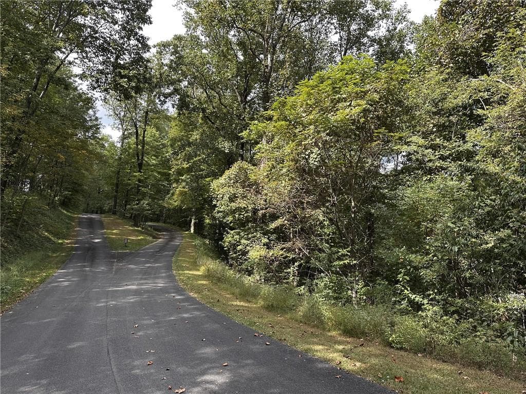 single family residence for sale at 7r Mountain Falls Loop, Ellijay, GA 30536 — photo 2