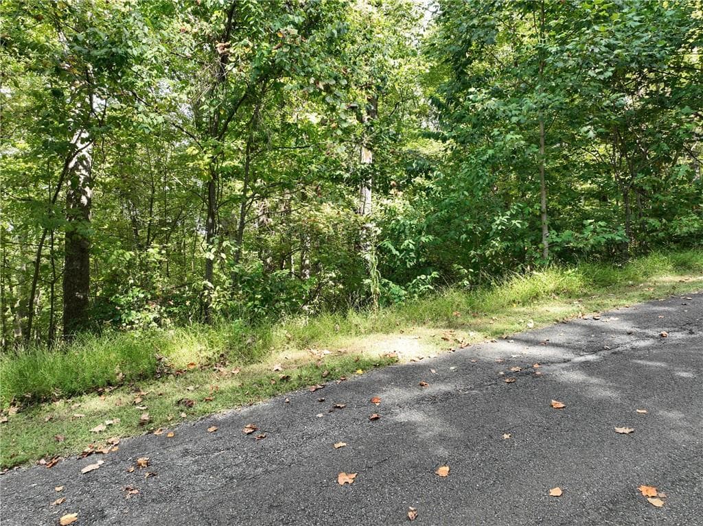 single family residence for sale at 7r Mountain Falls Loop, Ellijay, GA 30536 — photo 10