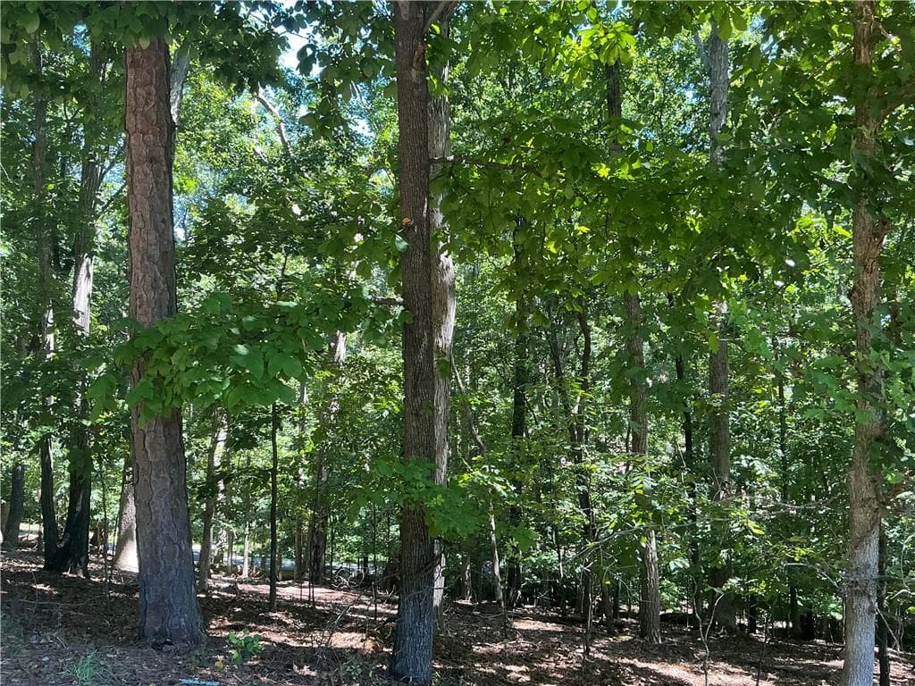 single family residence for sale at 5356 Whitmire Drive, Gainesville, GA 30504 — photo 4