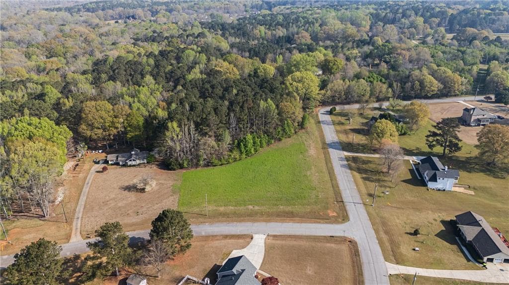single family residence for sale at 0 Bear Creek Trail, Hampton, GA 30228 — photo 2