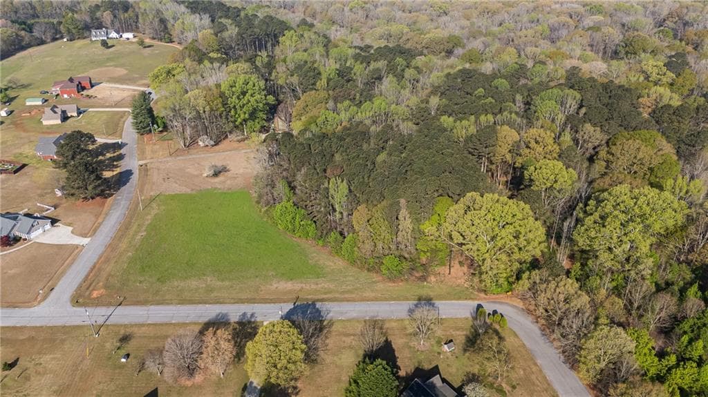 single family residence for sale at 0 Bear Creek Trail, Hampton, GA 30228 — photo 3