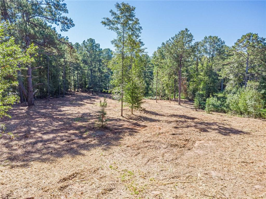 single family residence for sale at 3310 Etchison Road, Loganville, GA 30052 — photo 6