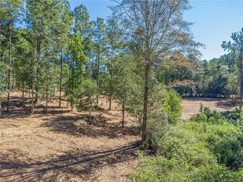 single family residence for sale at 3310 Etchison Road, Loganville, GA 30052 — photo 7