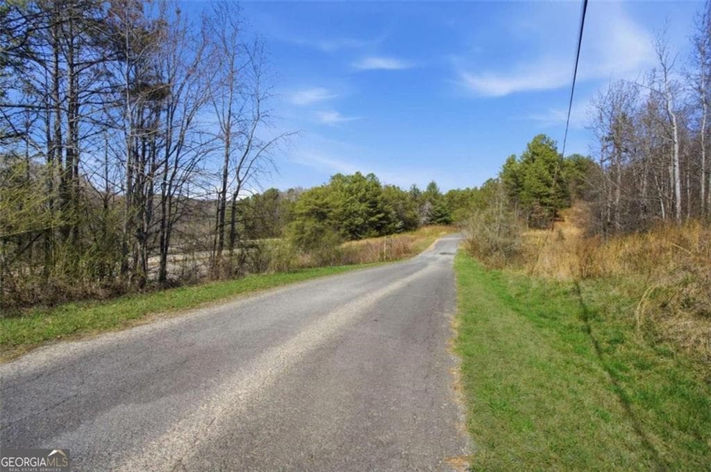 unimproved land for sale at 174 POWERSPORTS Drive, Ellijay, GA 30175 — photo 3