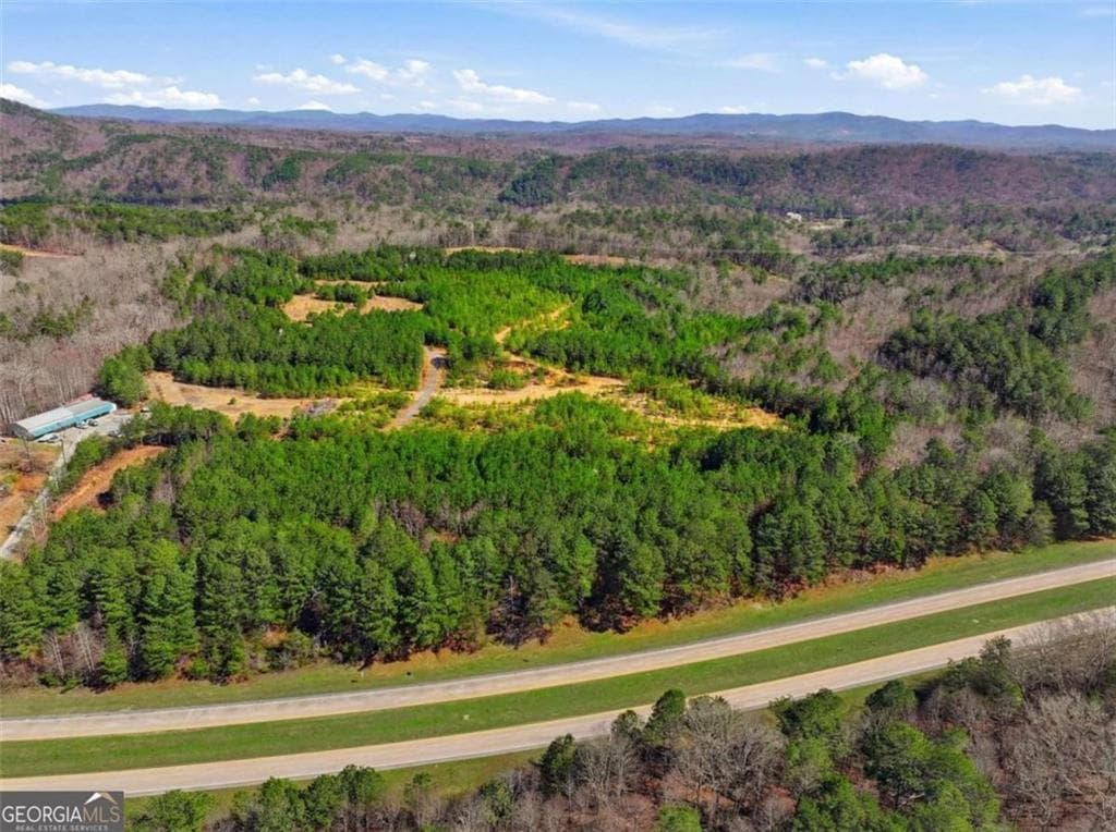 unimproved land for sale at 174 POWERSPORTS Drive, Ellijay, GA 30175 — photo 5