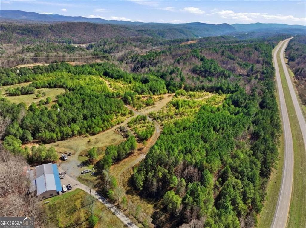 unimproved land for sale at 174 POWERSPORTS Drive, Ellijay, GA 30175 — photo 6