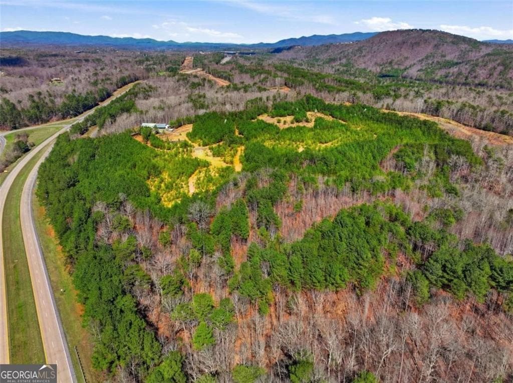 unimproved land for sale at 174 POWERSPORTS Drive, Ellijay, GA 30175 — photo 10