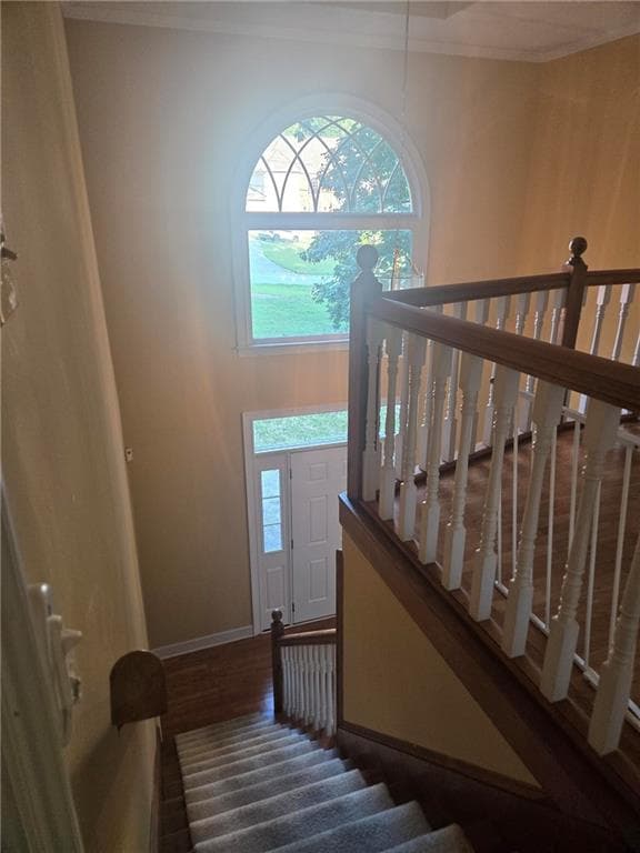 4 bedroom, 3 bathroom, 2,826 sq ft single family residence for rent at 622 Plantation Drive, Lithia Springs, GA 30122 for $2,590 a month — photo 8