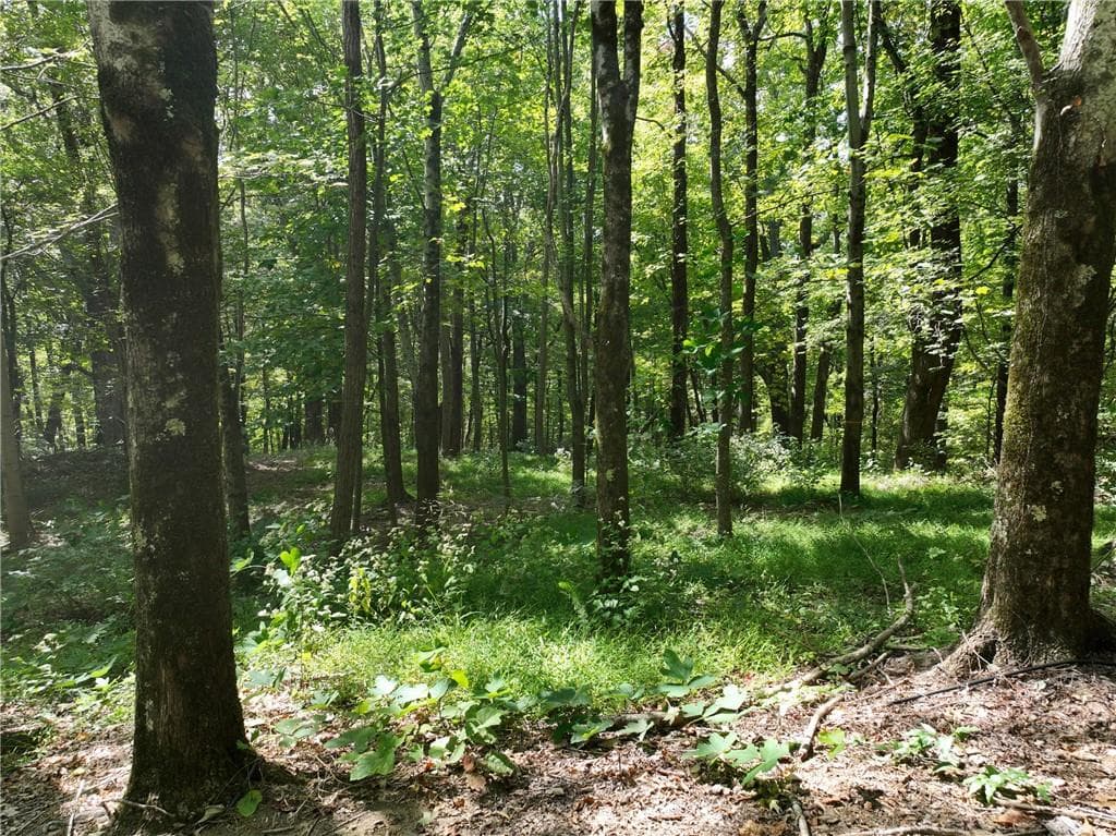 single family residence for sale at 46 Highlands Parkway, Jasper, GA 30143 — photo 4