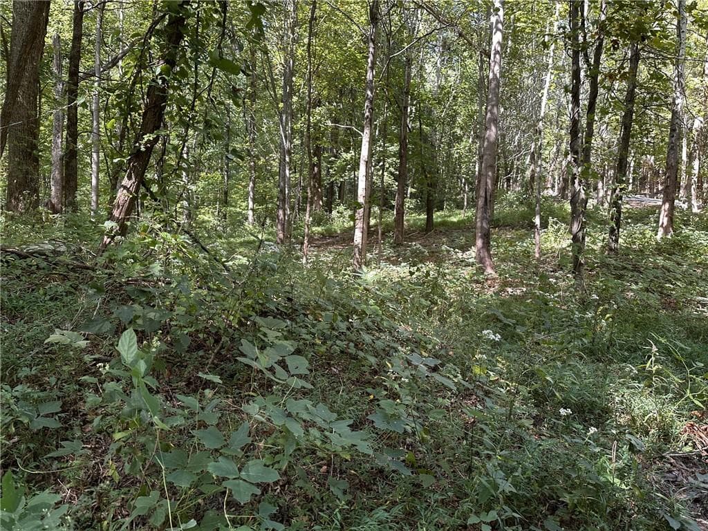 single family residence for sale at 46 Highlands Parkway, Jasper, GA 30143 — photo 9