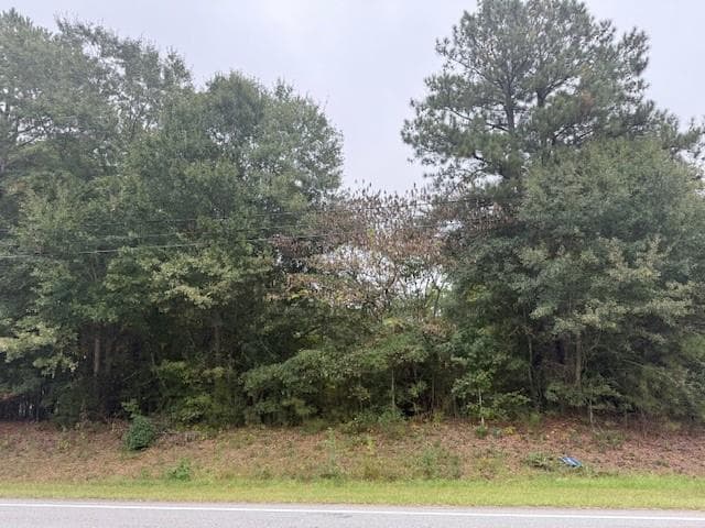 single family residence for sale at 0 Russell Road, Lawrenceville, GA 30043 — photo 8