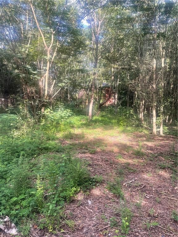 unimproved land for sale at 21/34 Crump Road, Cartersville, GA 30120 — photo 4