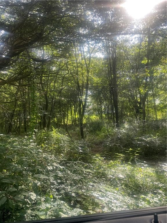 unimproved land for sale at 21/34 Crump Road, Cartersville, GA 30120 — photo 5