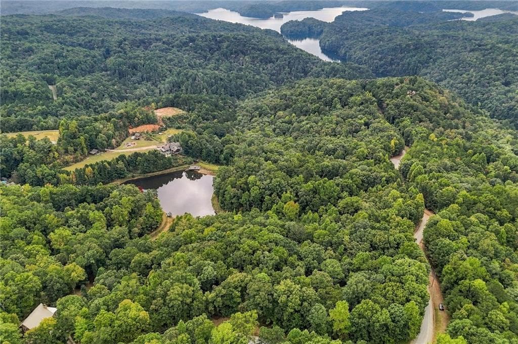 unimproved land for sale at 0 Lakeland Drive, Ellijay, GA 30540 — photo 1 of 9