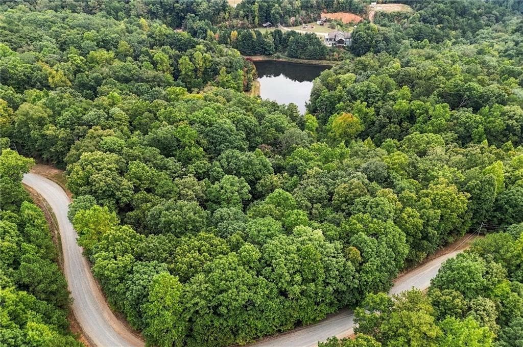 unimproved land for sale at 0 Lakeland Drive, Ellijay, GA 30540 — photo 2
