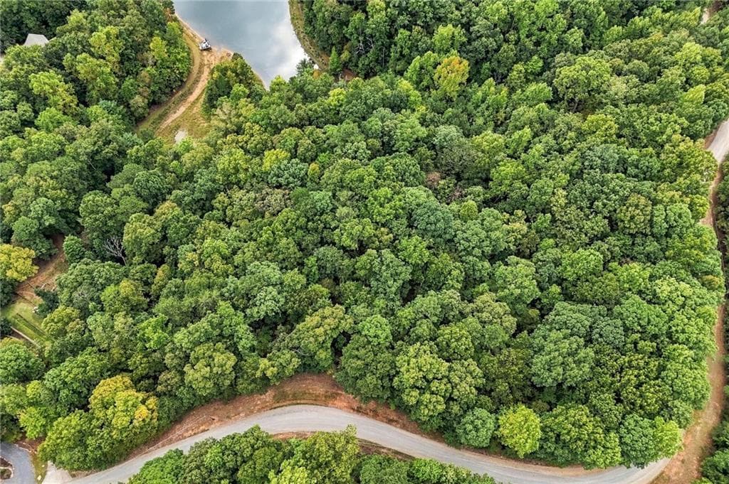 unimproved land for sale at 0 Lakeland Drive, Ellijay, GA 30540 — photo 3