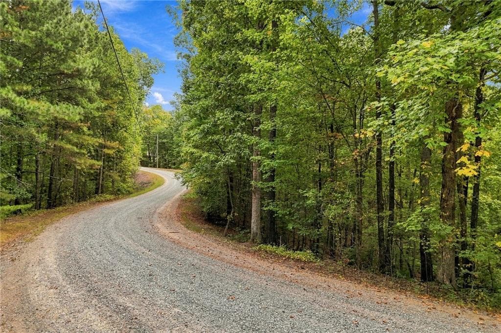 unimproved land for sale at 0 Lakeland Drive, Ellijay, GA 30540 — photo 4