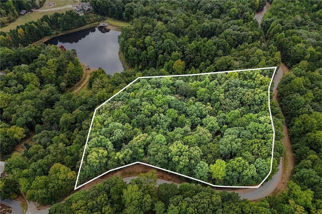 unimproved land for sale at 0 Lakeland Drive, Ellijay, GA 30540 — photo 6