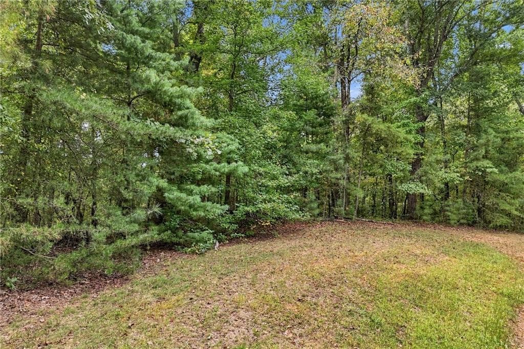 unimproved land for sale at 0 Lakeland Drive, Ellijay, GA 30540 — photo 7