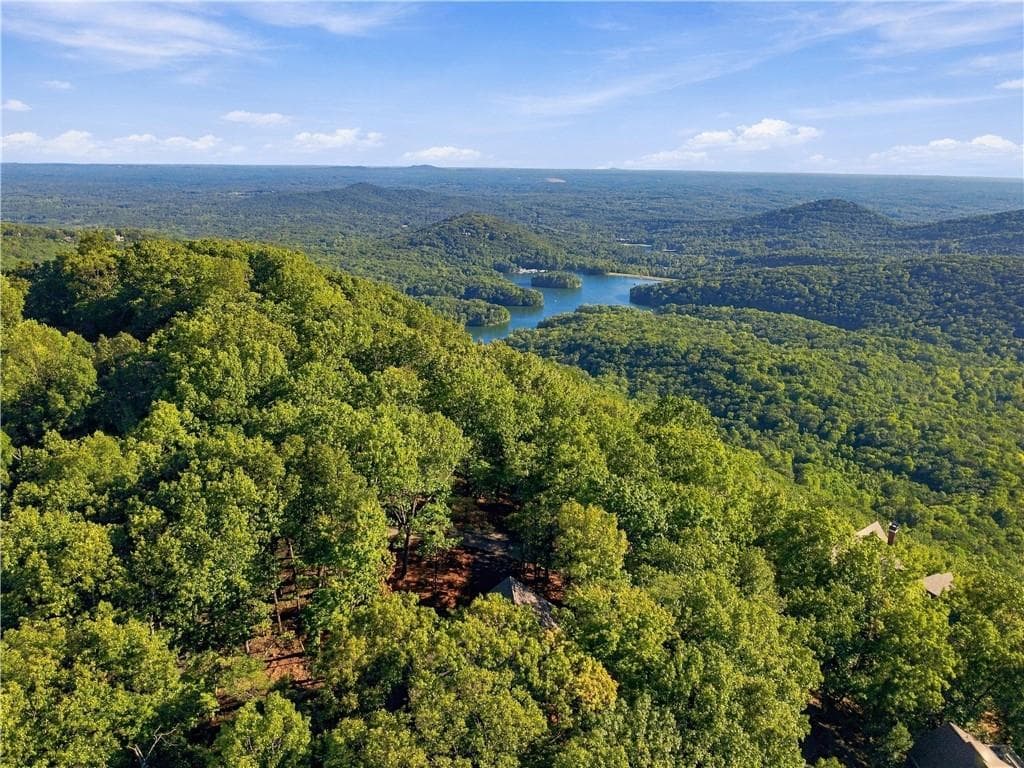 4 bedroom, 4 bathroom, 4,241 sq ft single family residence for sale at 20 Falcon Circle, Jasper, GA 30143 — photo 3