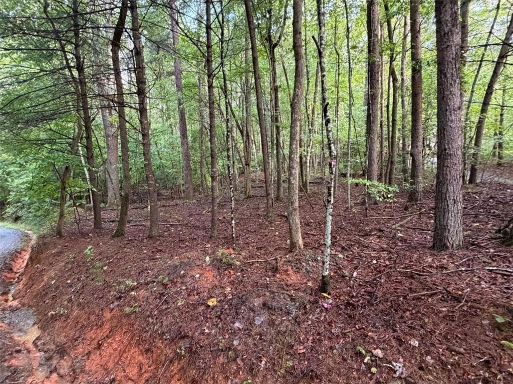 single family residence for sale at 0 Peach Lane, Ellijay, GA 30536