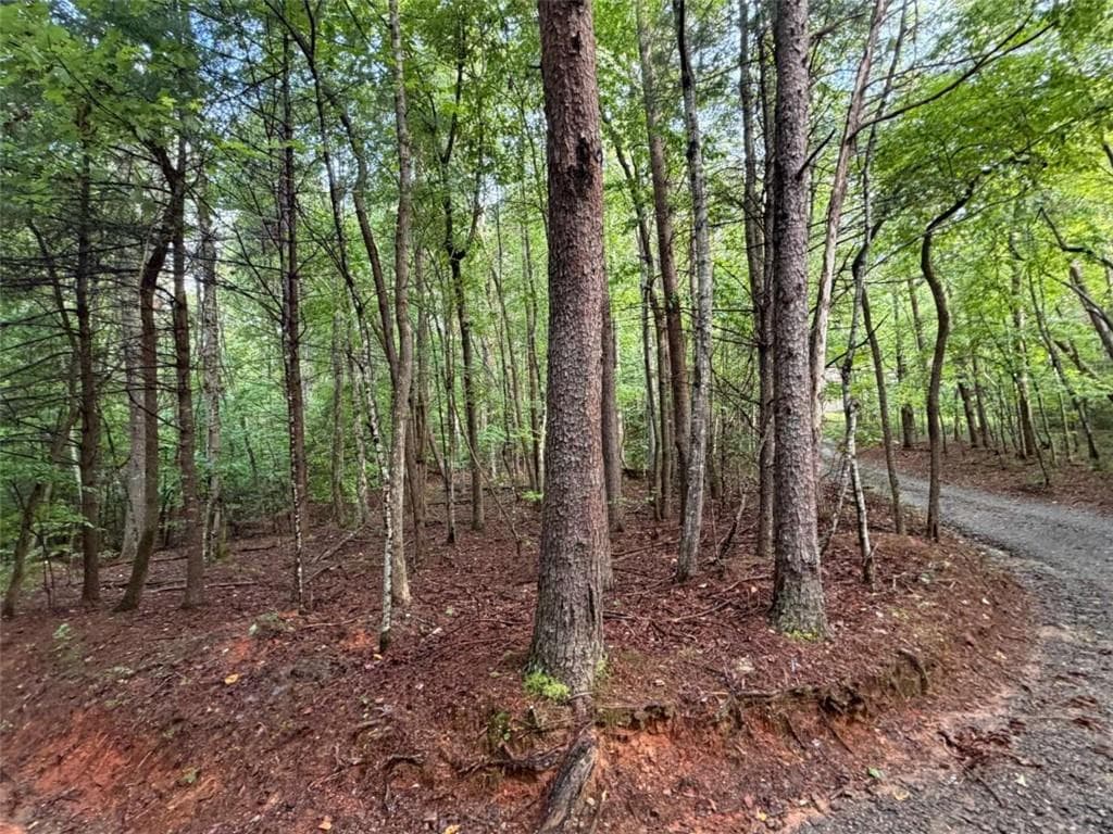 single family residence for sale at 0 Peach Lane, Ellijay, GA 30536 — photo 2