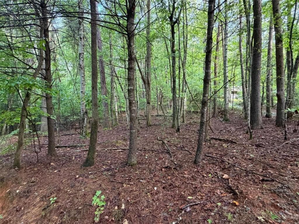 single family residence for sale at 0 Peach Lane, Ellijay, GA 30536 — photo 3