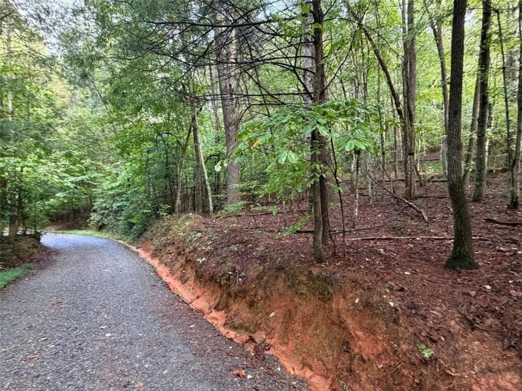 single family residence for sale at 0 Peach Lane, Ellijay, GA 30536 — photo 4