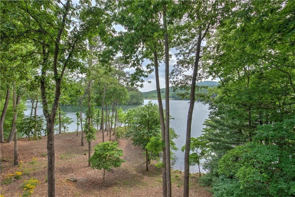 5 bedroom, 6 bathroom, 7,353 sq ft single family residence for sale at 255 Indigo Bunting Trail, Big Canoe, GA 30143 — photo 6