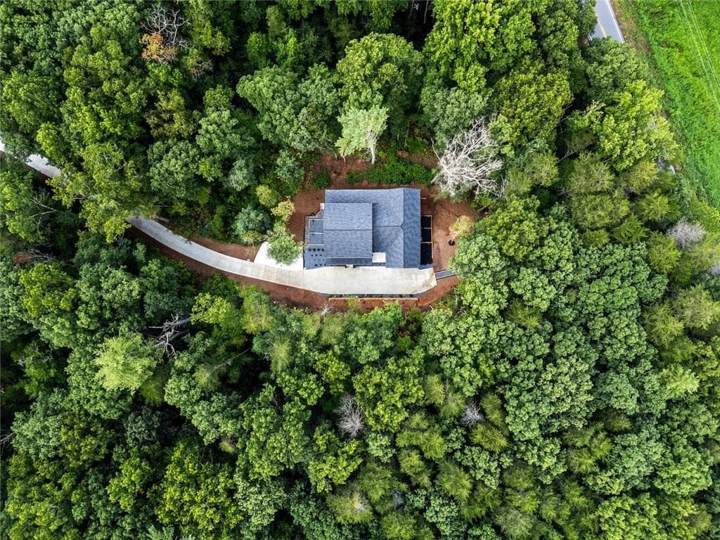 4 bedroom, 5 bathroom, 6,963 sq ft single family residence for sale at 336 FRANCES, Ellijay, GA 30536