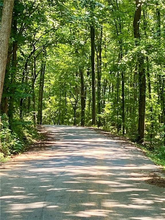 unimproved land for sale at 0 Old White Oak Cemetery Road, Dallas, GA 30157 — photo 1 of 7