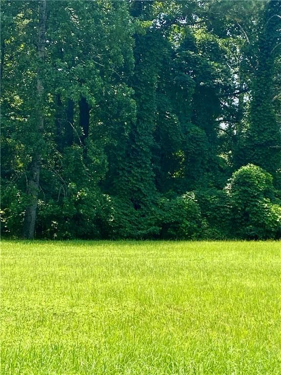 unimproved land for sale at 0 Old White Oak Cemetery Road, Dallas, GA 30157 — photo 3