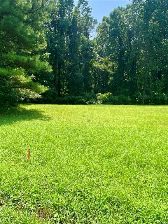 unimproved land for sale at 0 Old White Oak Cemetery Road, Dallas, GA 30157 — photo 4