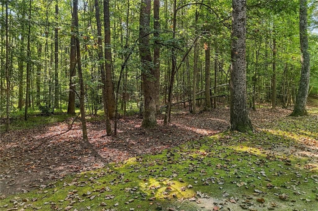 single family residence for sale at 000 Cumming Highway, Canton, GA 30115 — photo 5
