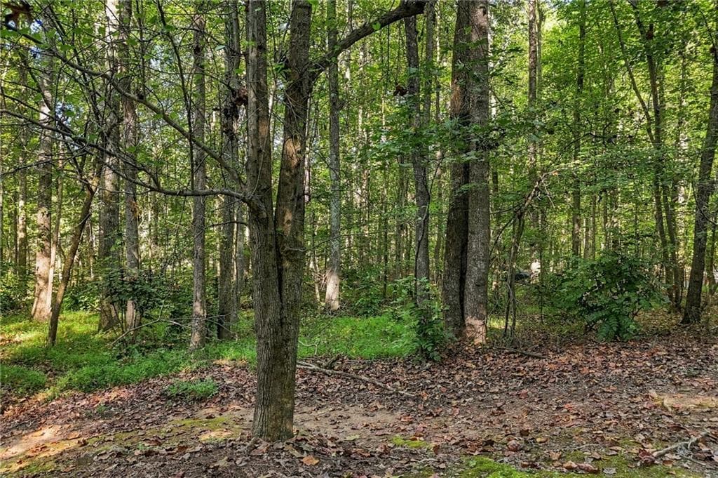single family residence for sale at 000 Cumming Highway, Canton, GA 30115 — photo 7