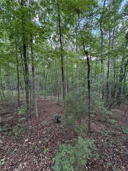 single family residence for sale at 000 SERENITY, Cataula, GA 31808 — photo 4