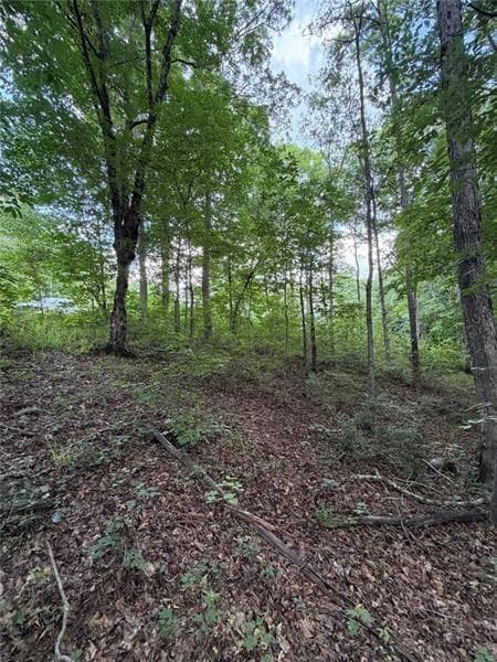 single family residence for sale at 000 SERENITY, Cataula, GA 31808 — photo 5