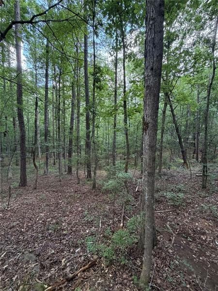 single family residence for sale at 000 SERENITY, Cataula, GA 31808 — photo 6