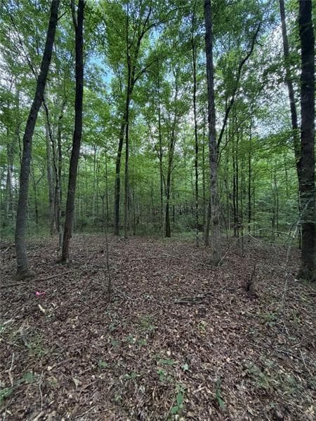 single family residence for sale at 000 SERENITY, Cataula, GA 31808 — photo 7