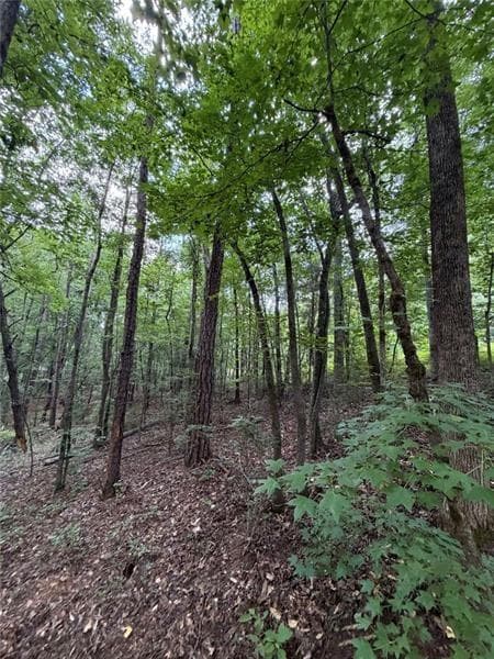 single family residence for sale at 000 SERENITY, Cataula, GA 31808 — photo 8