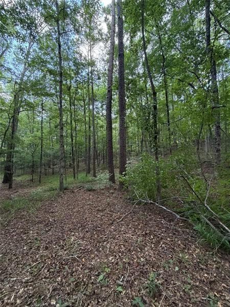 single family residence for sale at 000 SERENITY, Cataula, GA 31808 — photo 9