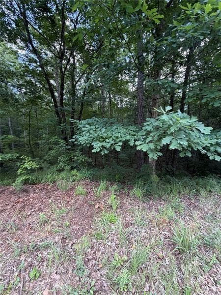 single family residence for sale at 000 SERENITY, Cataula, GA 31808 — photo 10