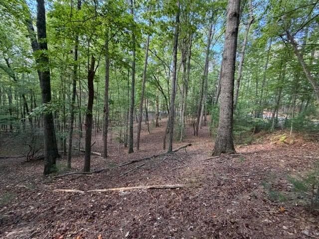 single family residence for sale at 556 Satsuma Court, Ellijay, GA 30540 — photo 2