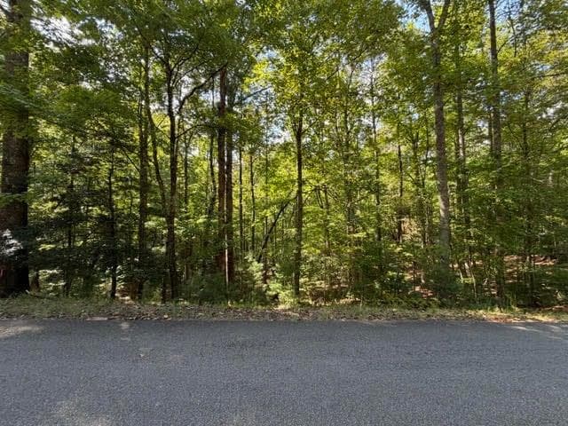 single family residence for sale at 556 Satsuma Court, Ellijay, GA 30540 — photo 4