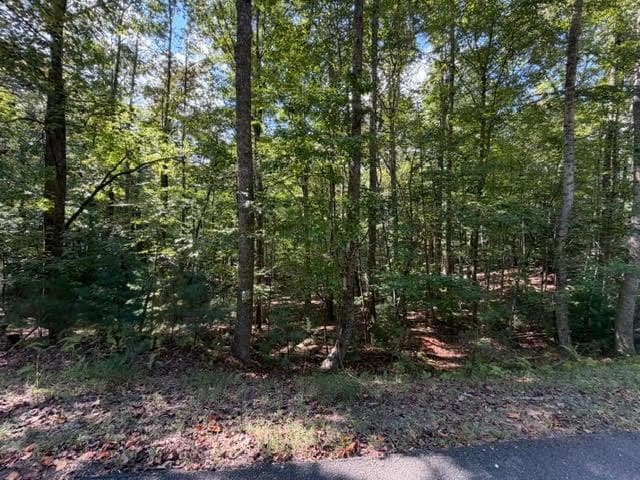 single family residence for sale at 556 Satsuma Court, Ellijay, GA 30540 — photo 5