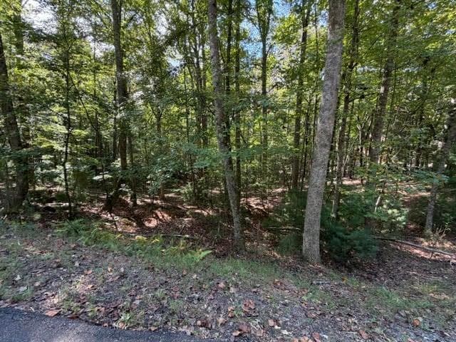 single family residence for sale at 556 Satsuma Court, Ellijay, GA 30540 — photo 6