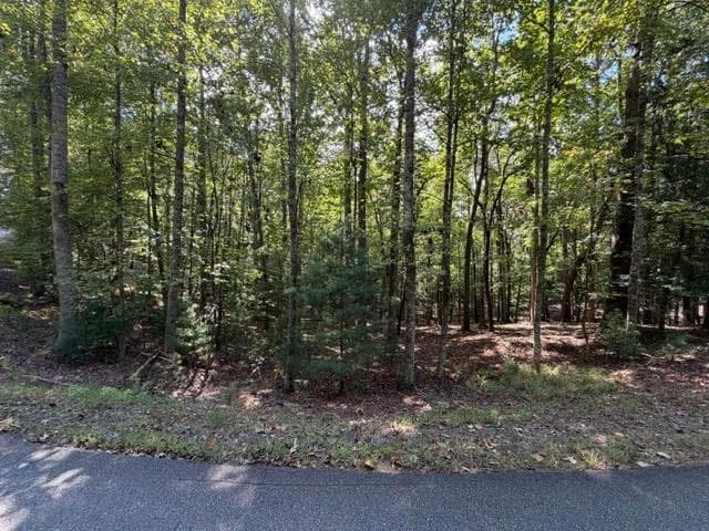 single family residence for sale at 556 Satsuma Court, Ellijay, GA 30540 — photo 7